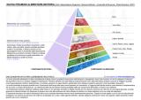 Un esempio di piramide alimentare che combina raccomandazioni dietetiche a consigli per una attività motoria adeguata